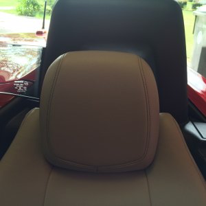 Britemax Leather