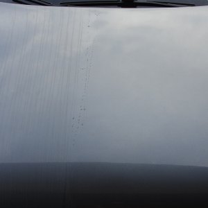 DSC08270