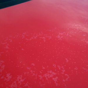 Lexus Trunk Lid - Paint Problem