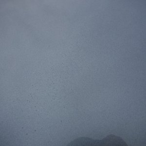DSCF2215