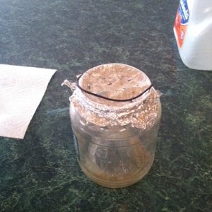 gnat_jar-3