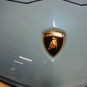 DSCF2327