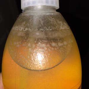 Gyeon_Wet_Coat_2