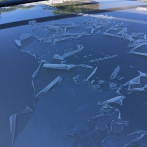 peel 1