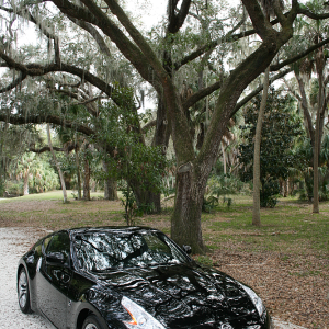 Z and Tree