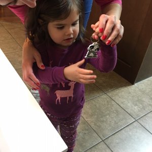 IMG_01561