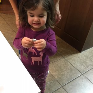 IMG_01572