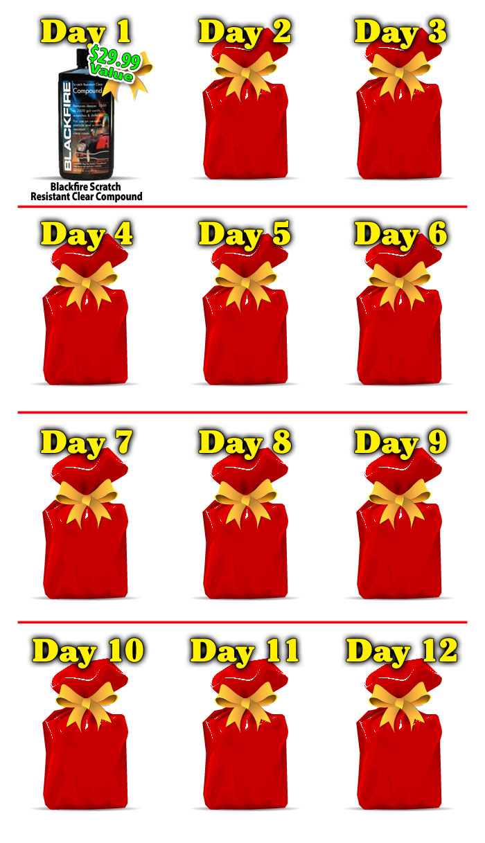ACC-12-days-pa-1