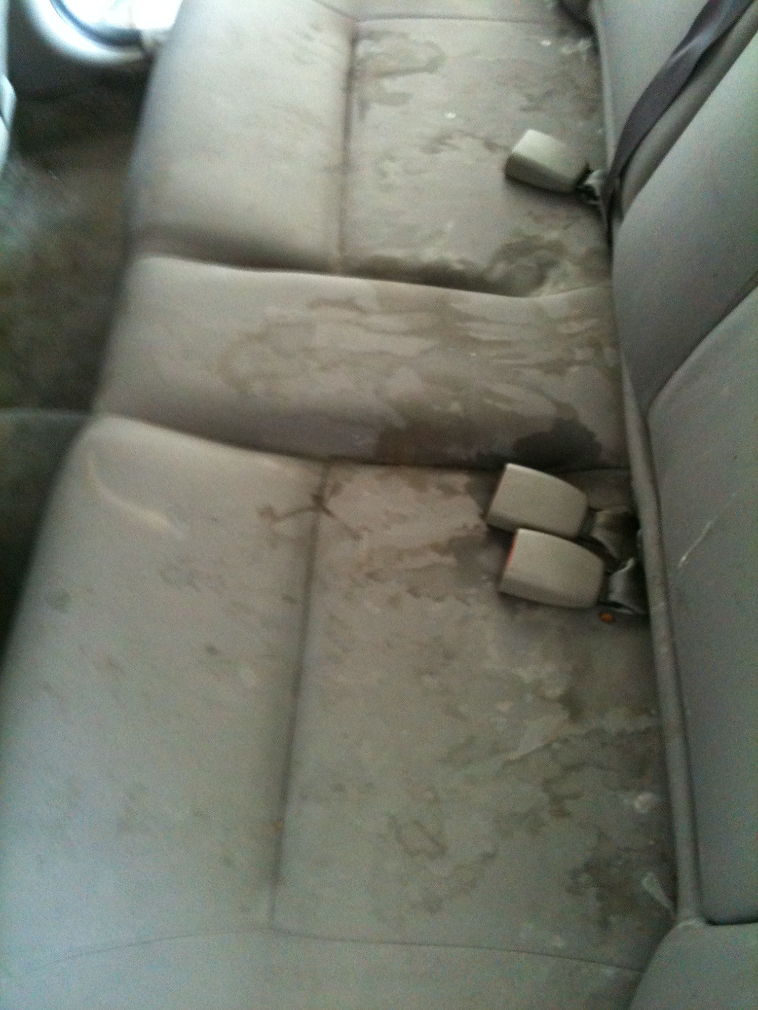 Before Neon Interior