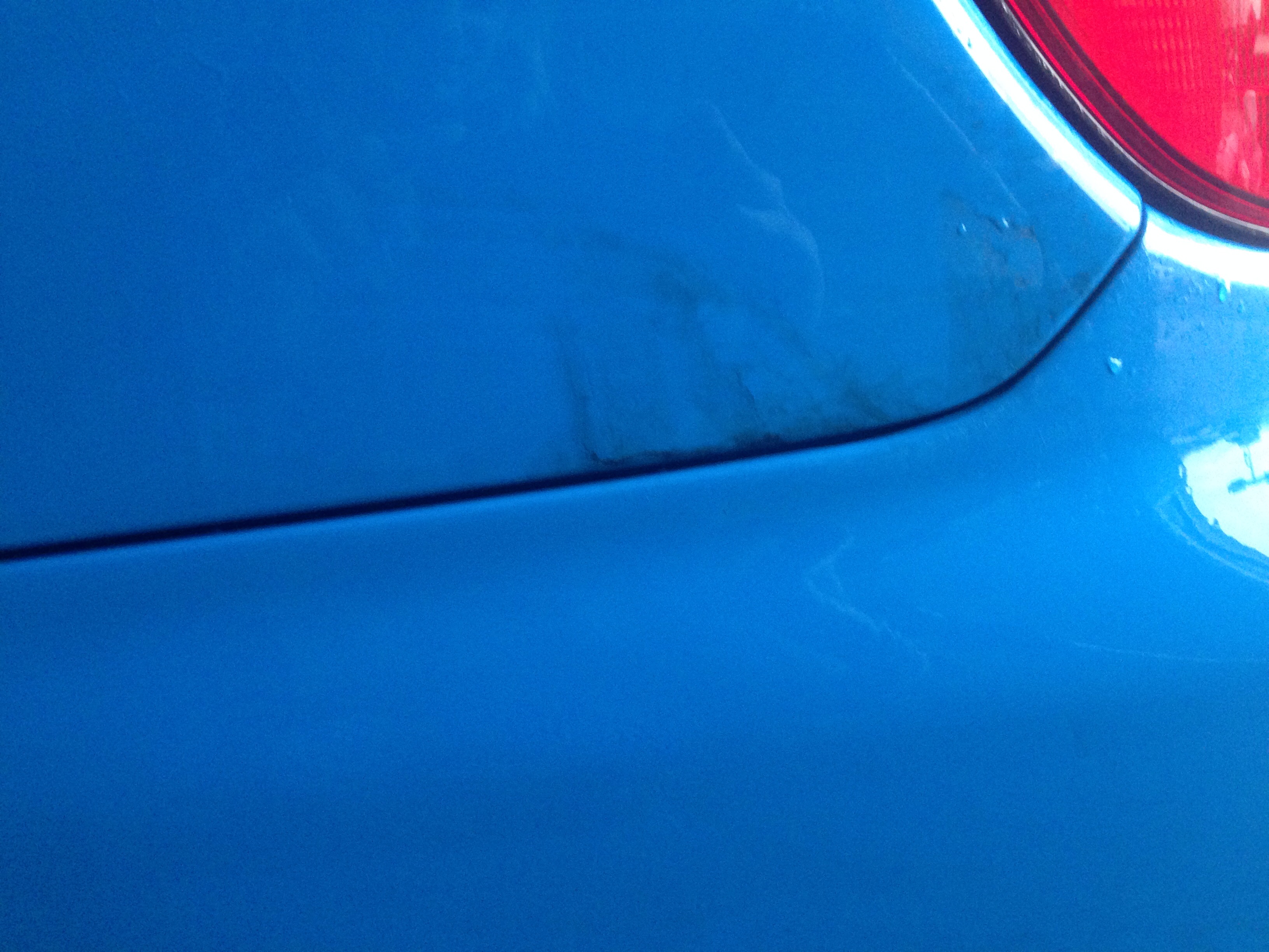 Birdpoo