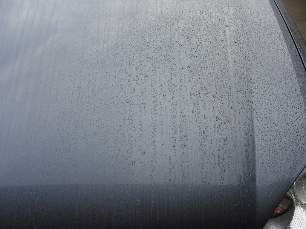 DSC08264