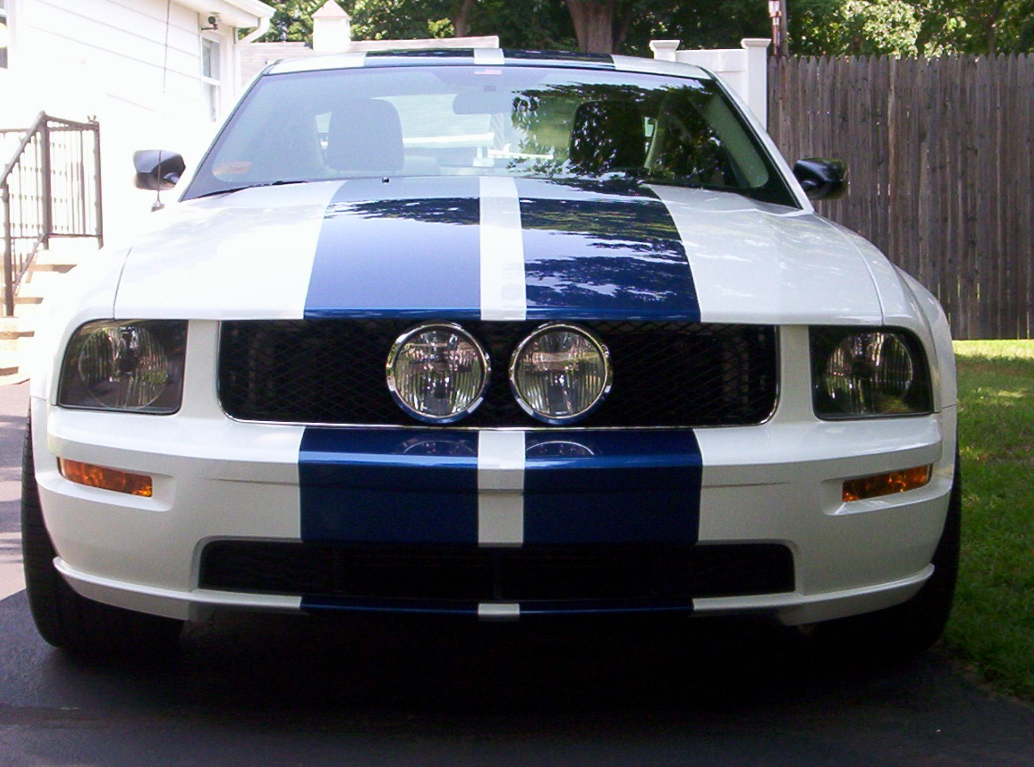Eleanor grille
