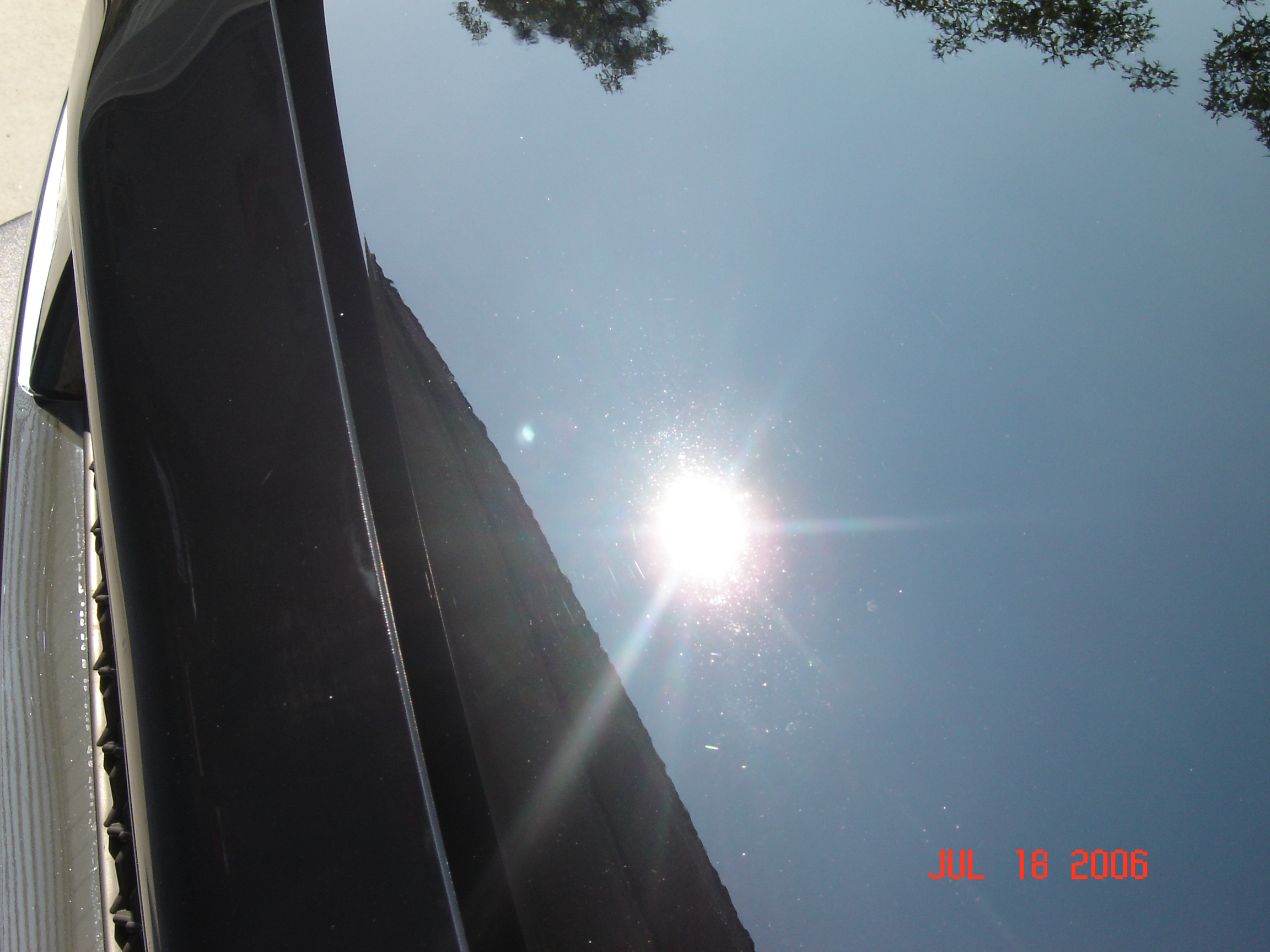 full sun