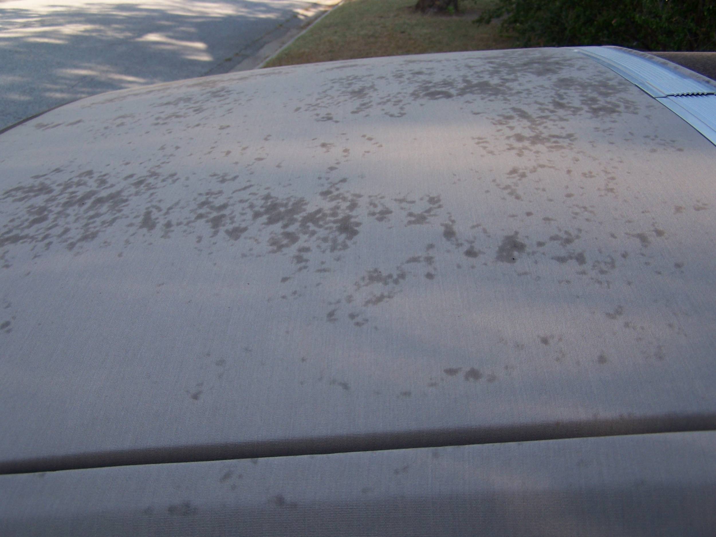 Half Top, Curb side