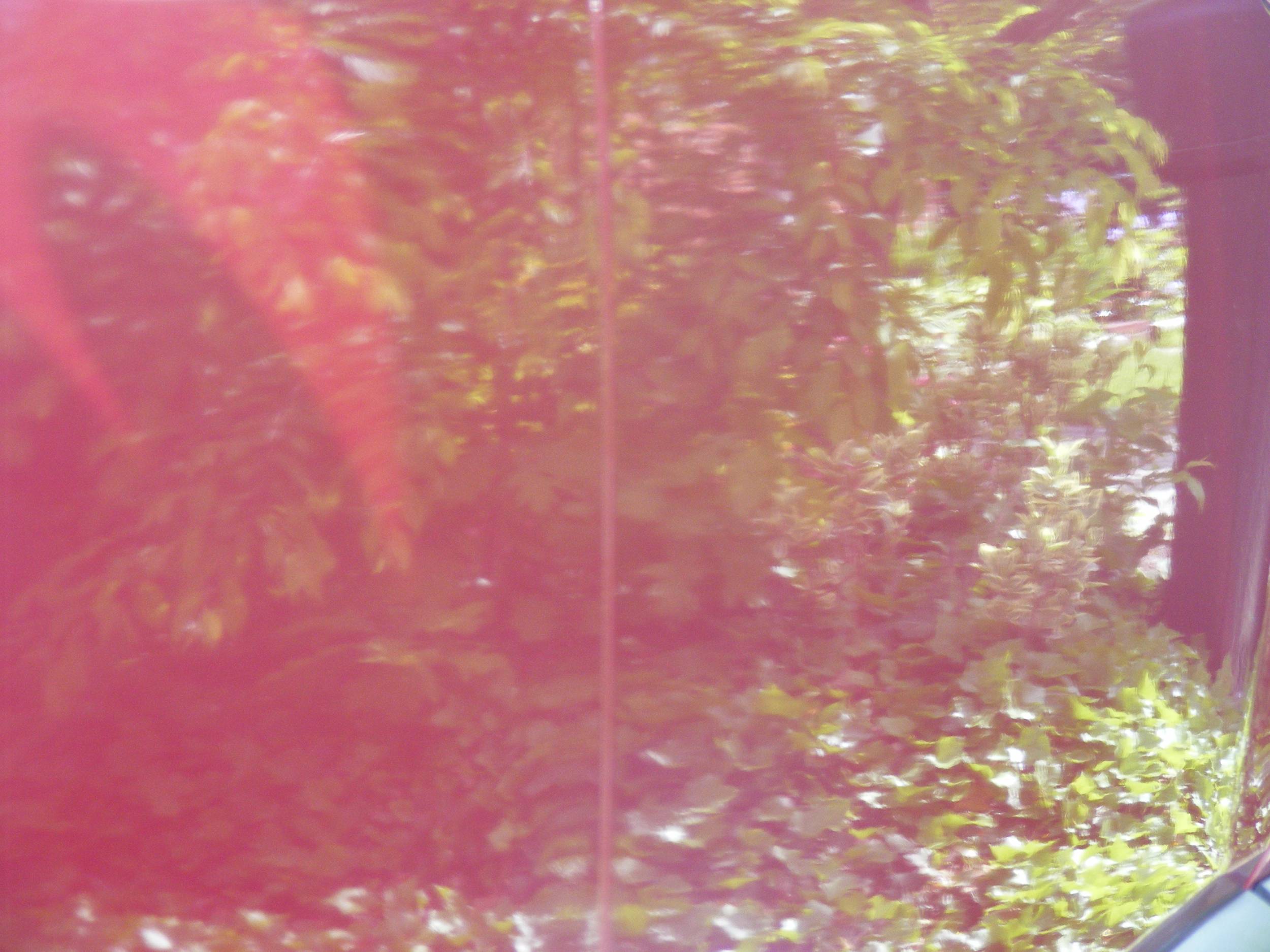 Jen_Shouses_Expedition26