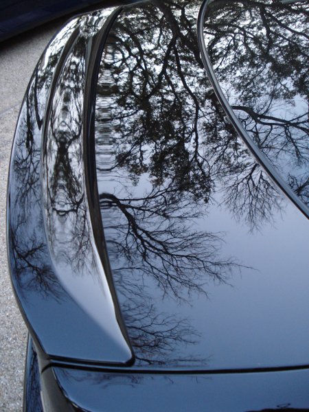 Lexus IS300 Trunk