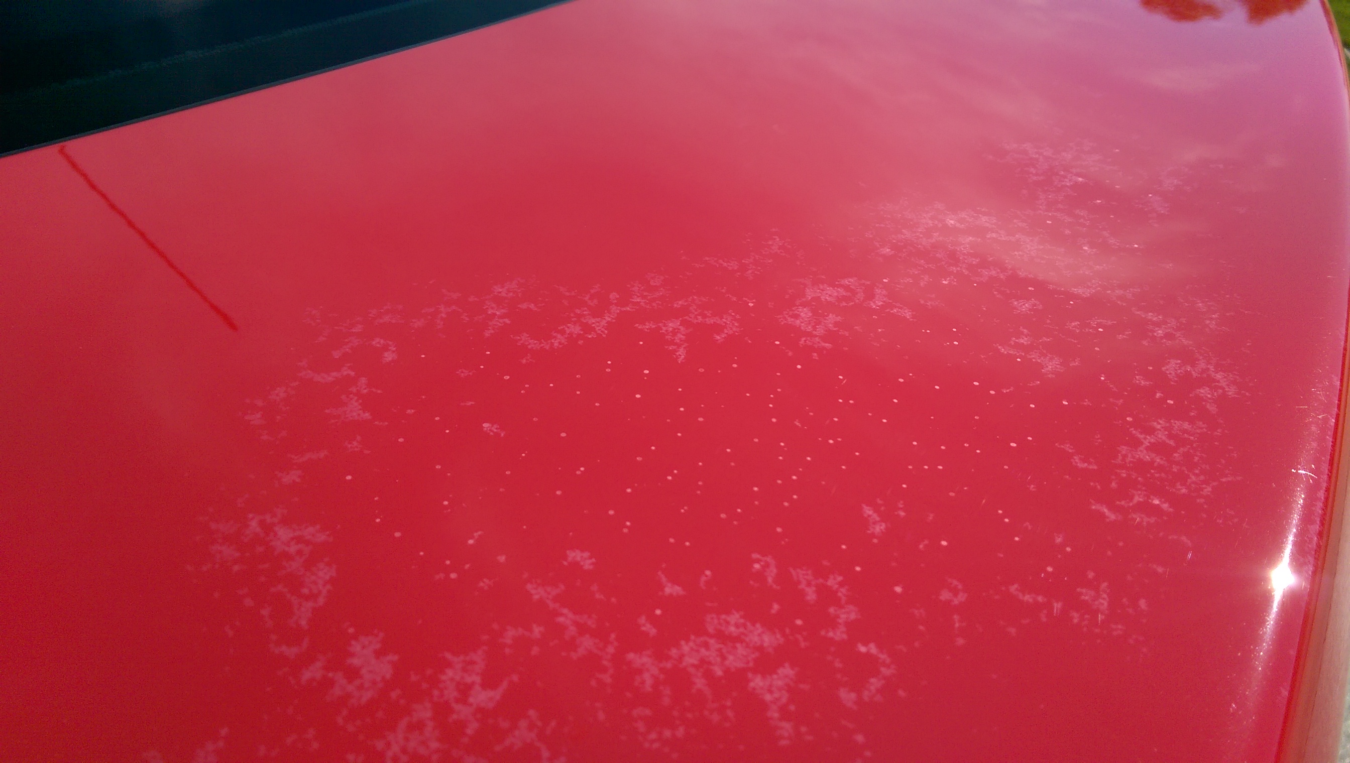 Lexus Trunk Lid - Paint Problem