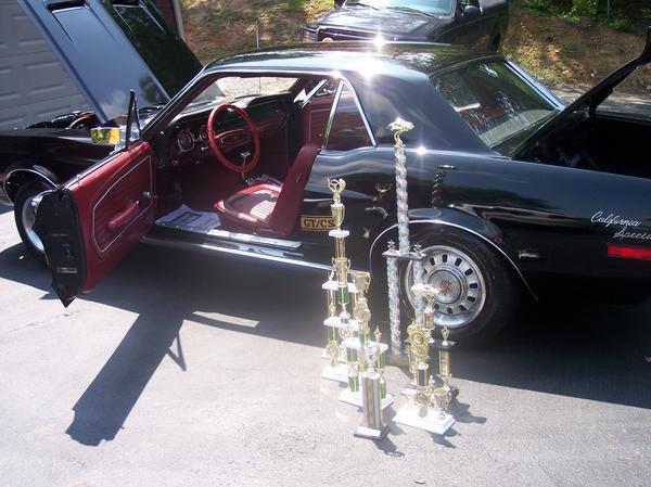mustang side