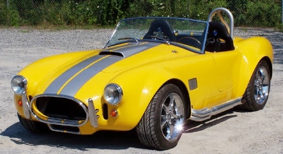 My cobra