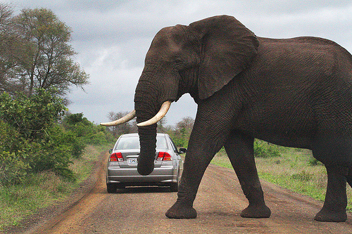 Namibia_Car_Rental