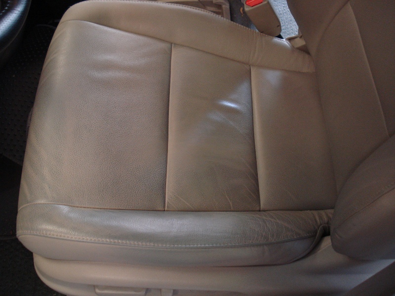 Odyssey Jean Xfer 01