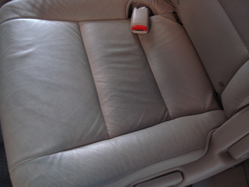 Odyssey Jean Xfer 02