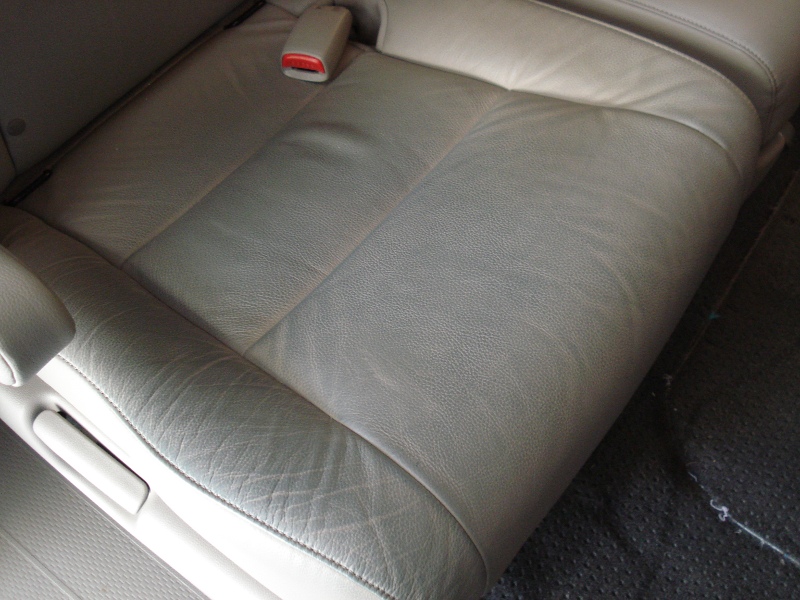 Odyssey Jean Xfer 03