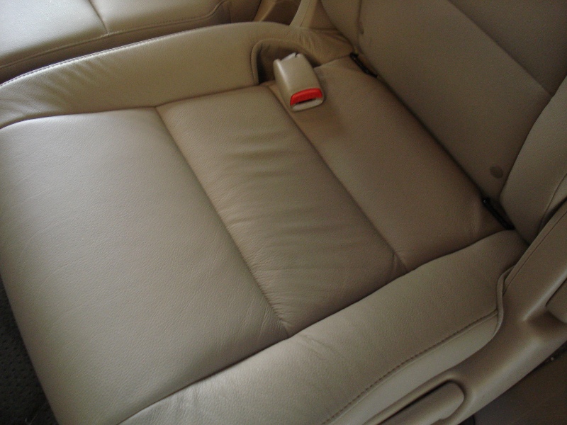 Odyssey Leather 02