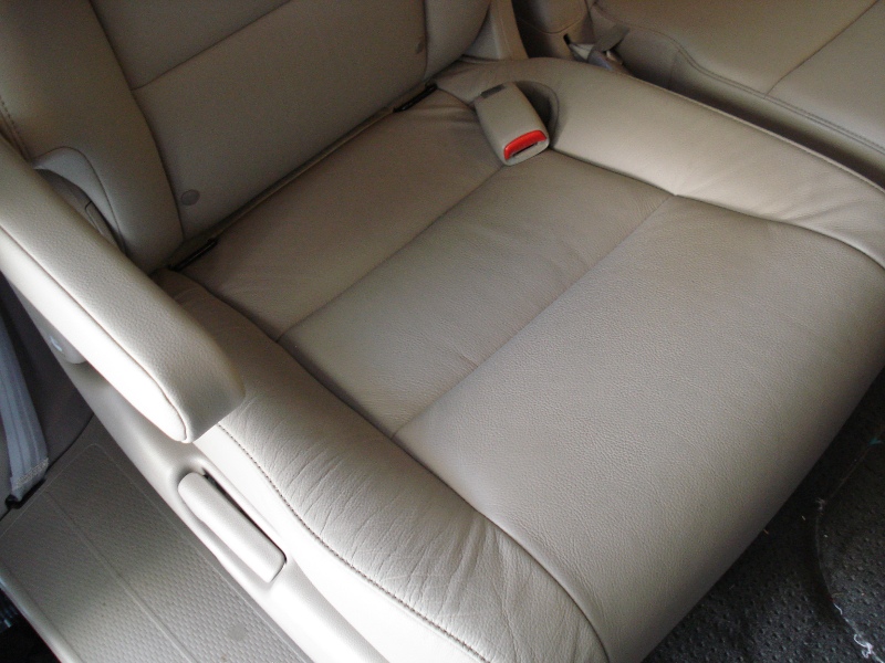 Odyssey Leather 03