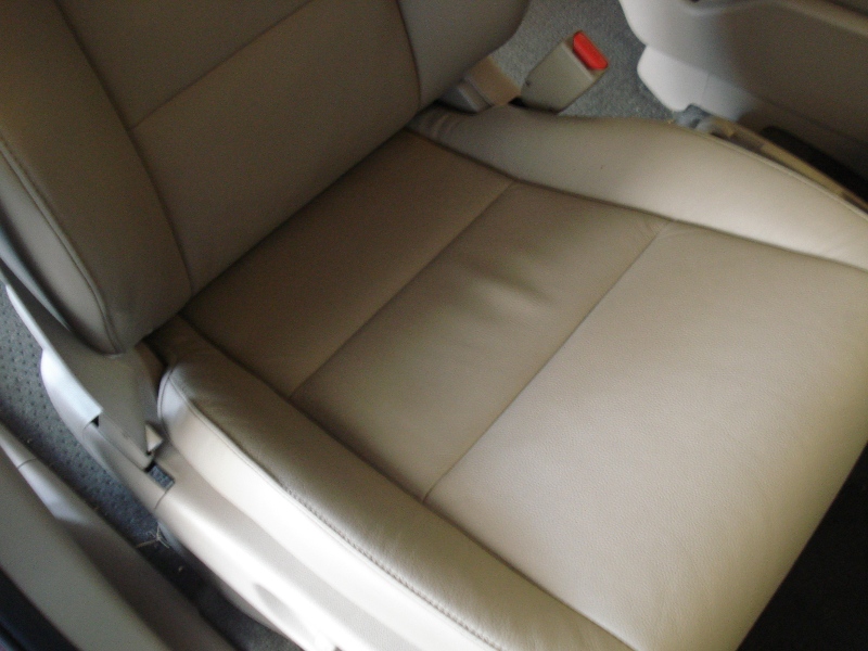 Odyssey Leather 04