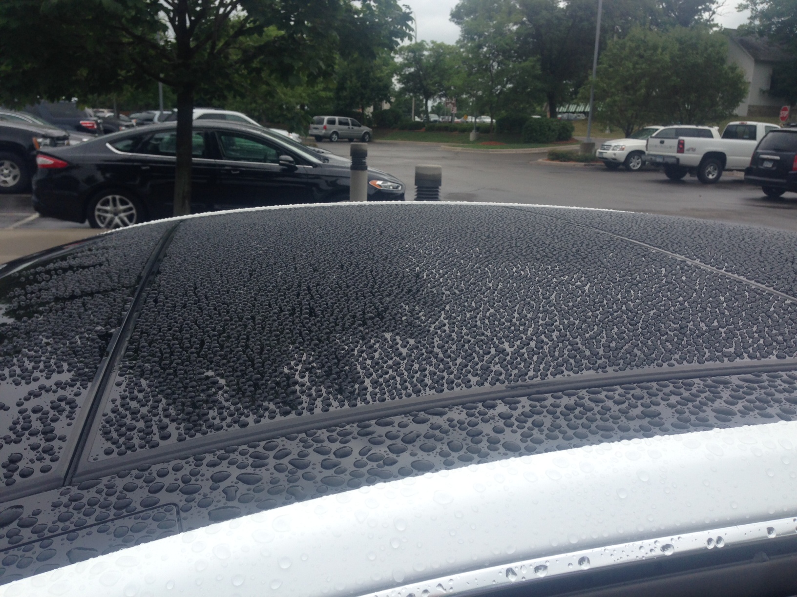 PBL Glass Coating Panoramic roof front