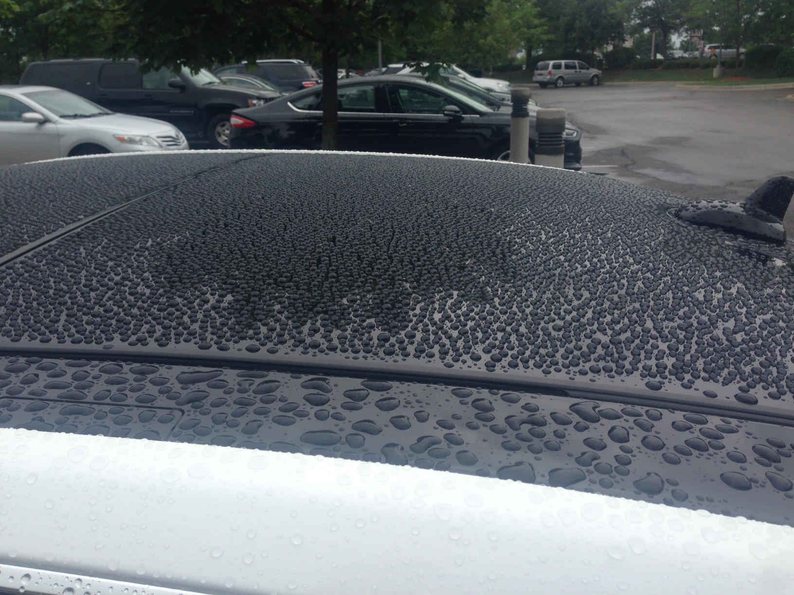 PBL Glass Coating Panoramic roof rear