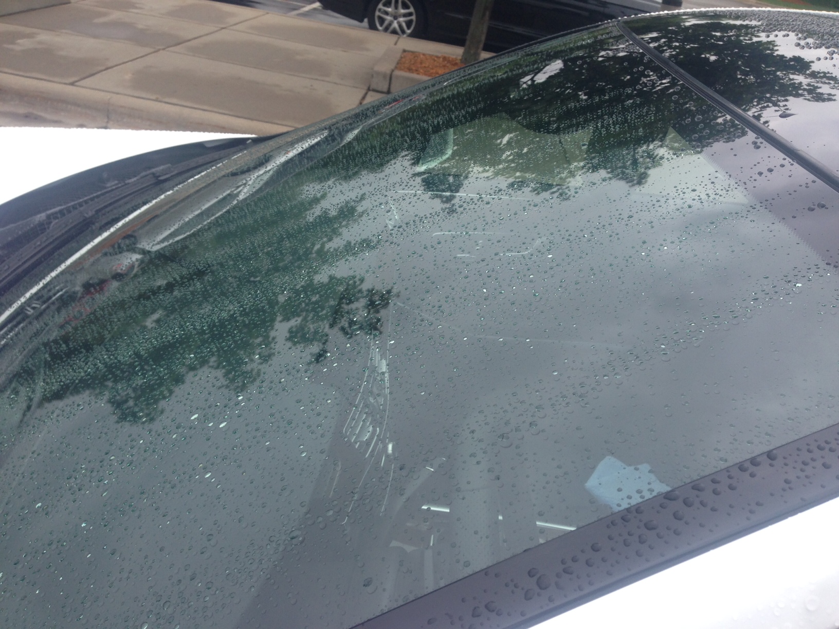 PBL Glass Coating Windshield
