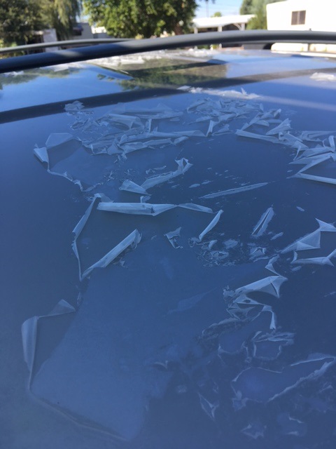 peel 1