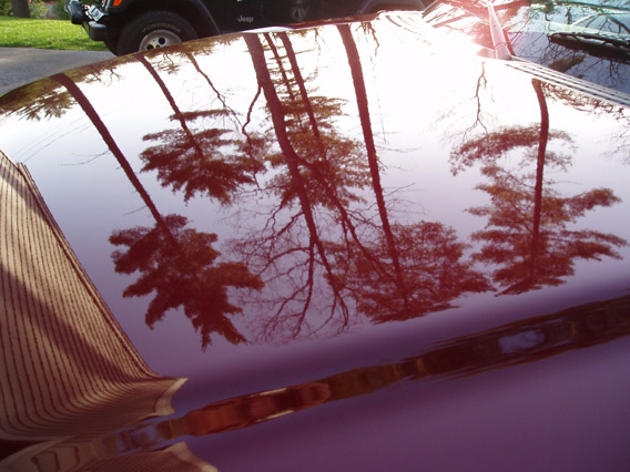 Reflection