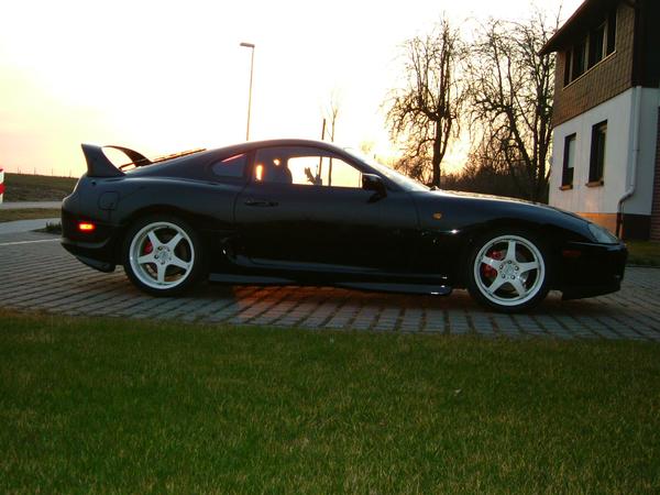 SEEBASS_Supra