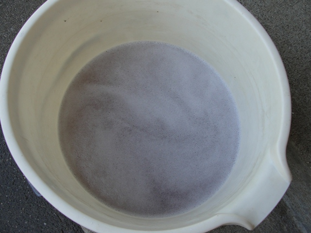 Suds_4b