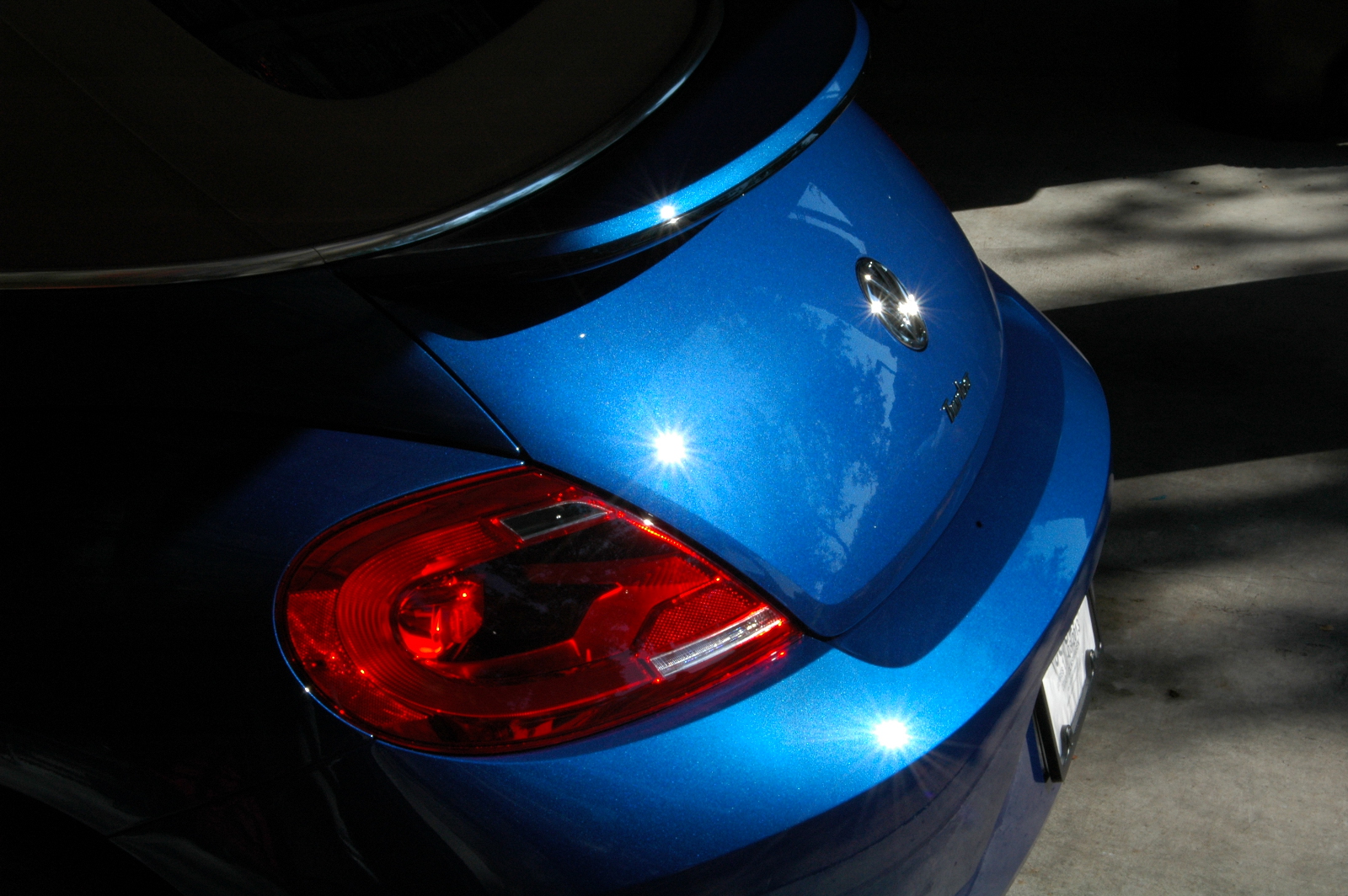 Sun Beetle 01