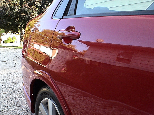 Suzuki_003
