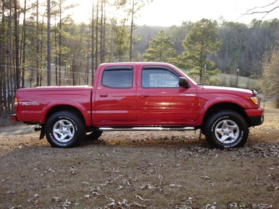 Tacoma16