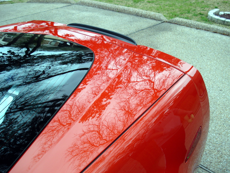 Vette 04