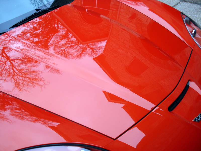 Vette 10
