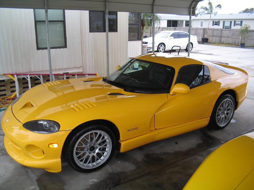 viper