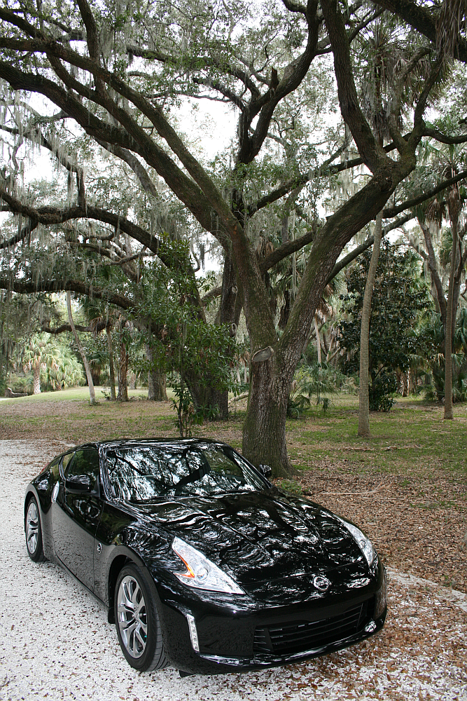Z and Tree